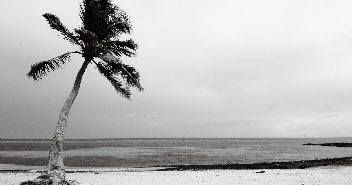 Florida beach β Is Roobet legal in Florida?